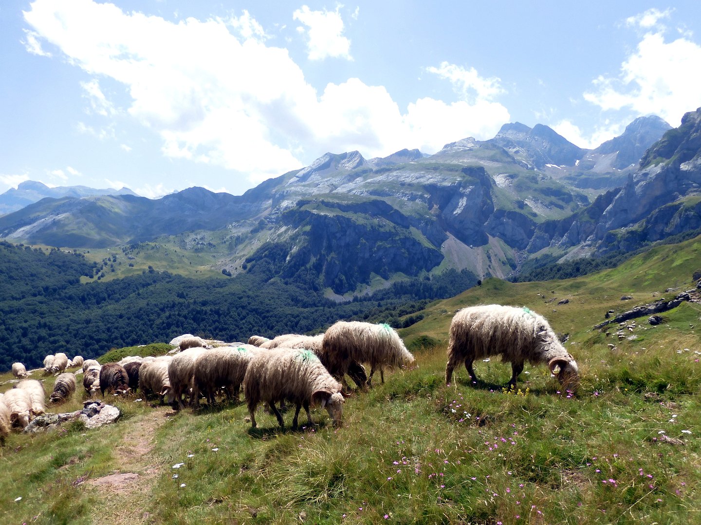 Picos-PIrineos_1_2023 860